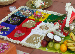 Navgrah Poojan - Guru SK Shastri Ji