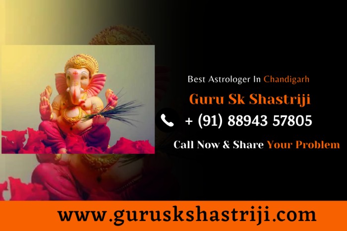 Best Astrologer In Chandigarh