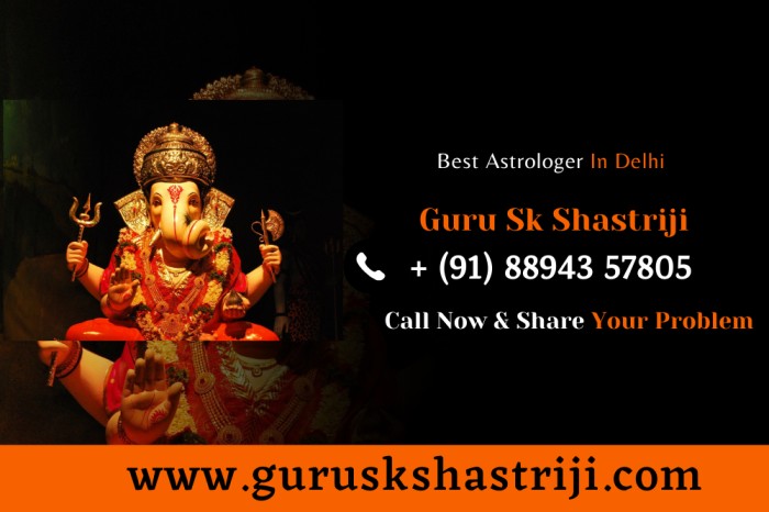 Best Astrologer In Delhi