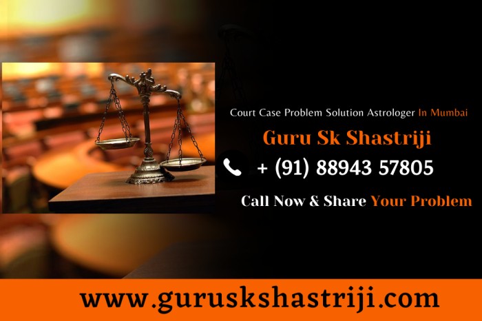 Court Case Problem Solution Astrologer In Mumbai